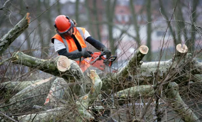 Abattage d’arbres dangereux, Biganos, KILLYAN Multiservices